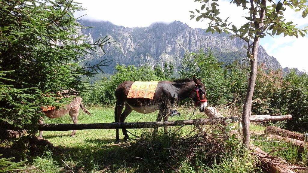 B&B Casabasoti Valli del Pasubio Luaran gambar